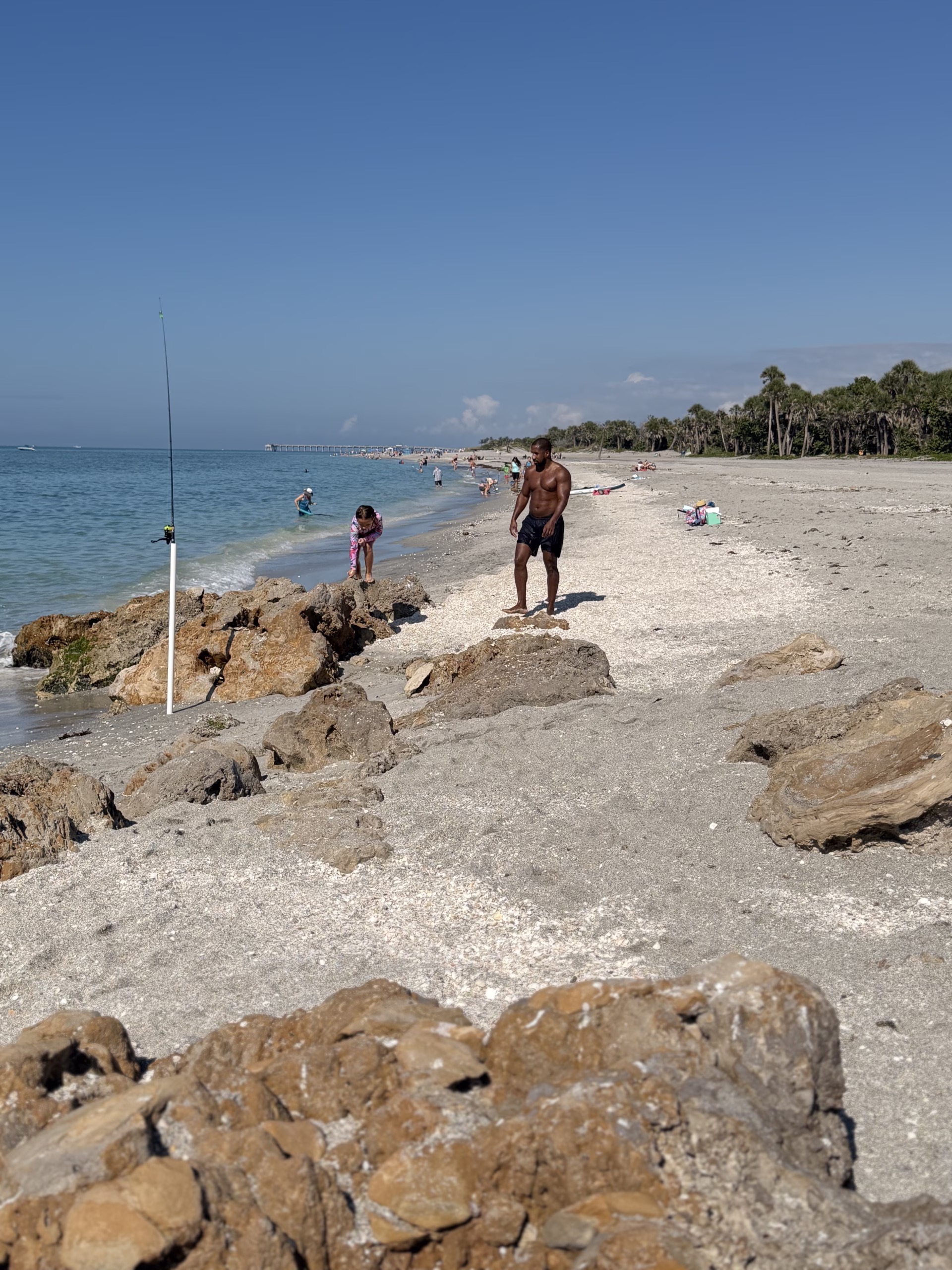 Caspersen beach finding shark teeth